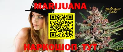 spice Кингисепп