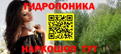 spice Кингисепп